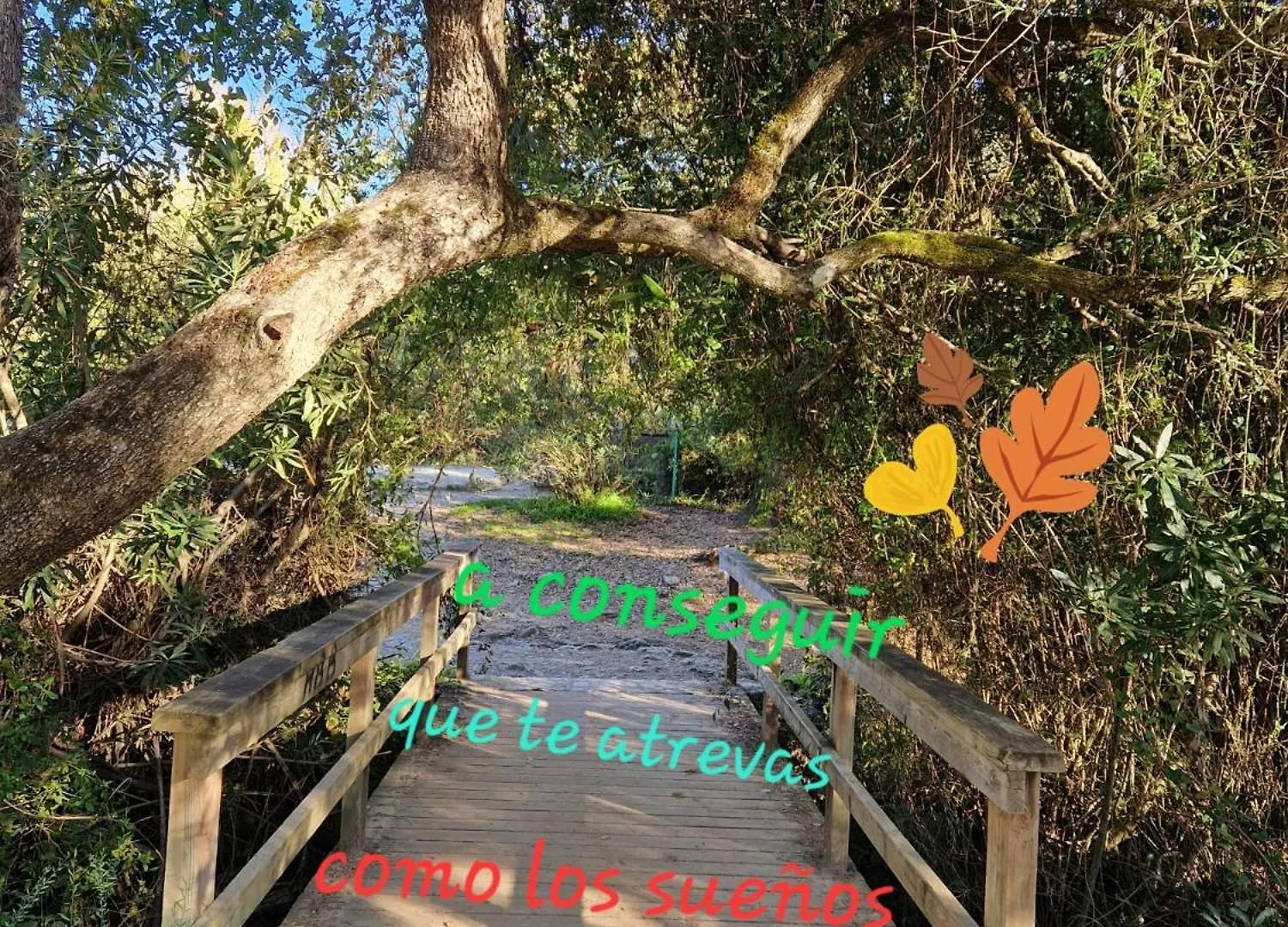 El Rinconcito Magico Apartment El Bosque