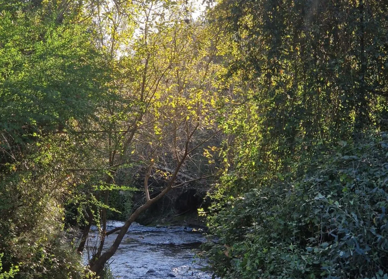 El Rinconcito Magico Lejlighed El Bosque