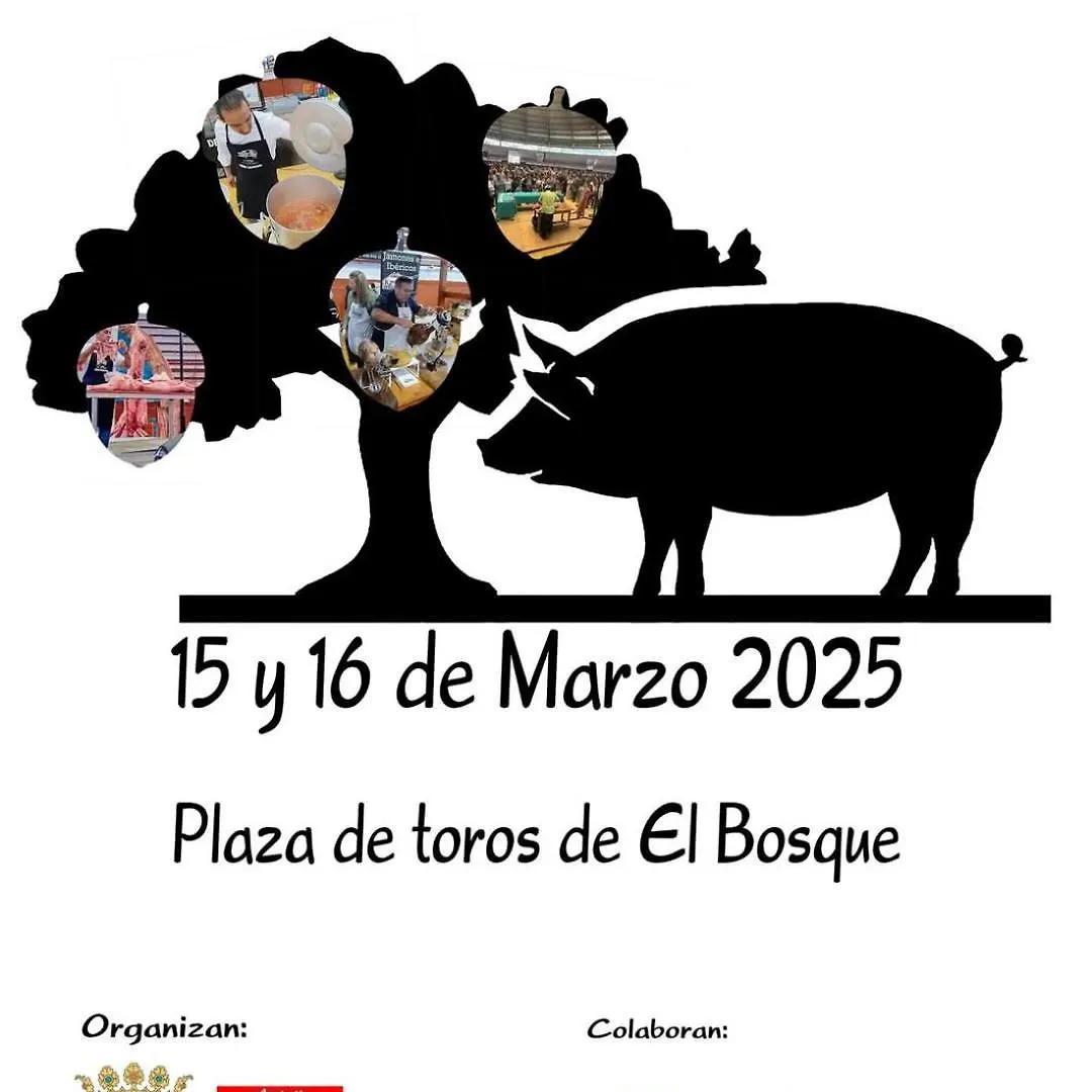 El Rinconcito Magico Lejlighed El Bosque Spanien